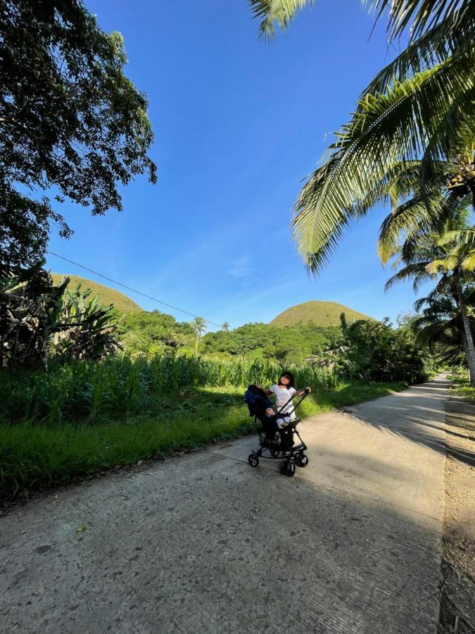 Casa Aguelo Chocolate Hills Bed & Breakfast Carmen  Dış mekan fotoğraf