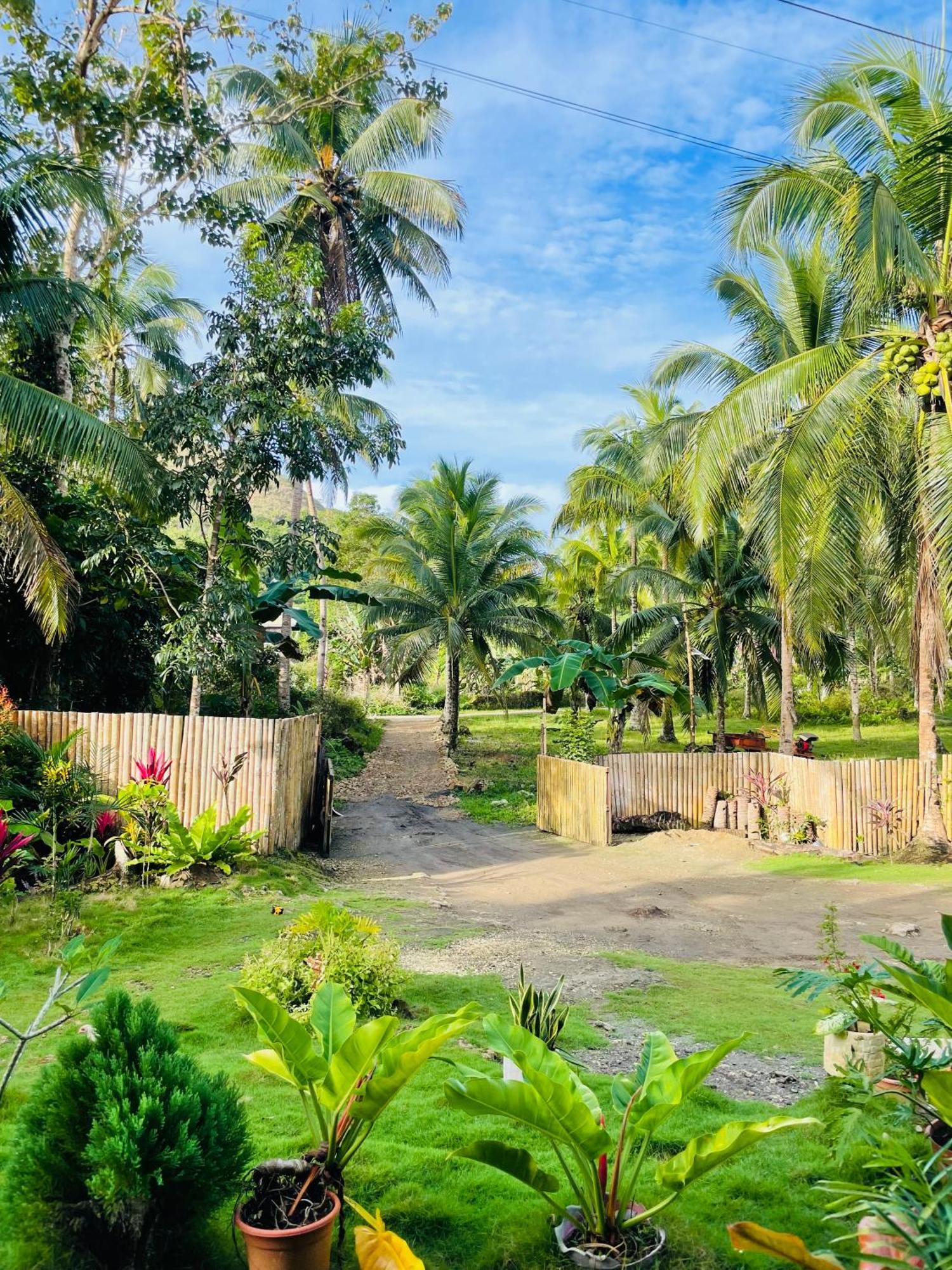 Casa Aguelo Chocolate Hills Bed & Breakfast Carmen  Dış mekan fotoğraf