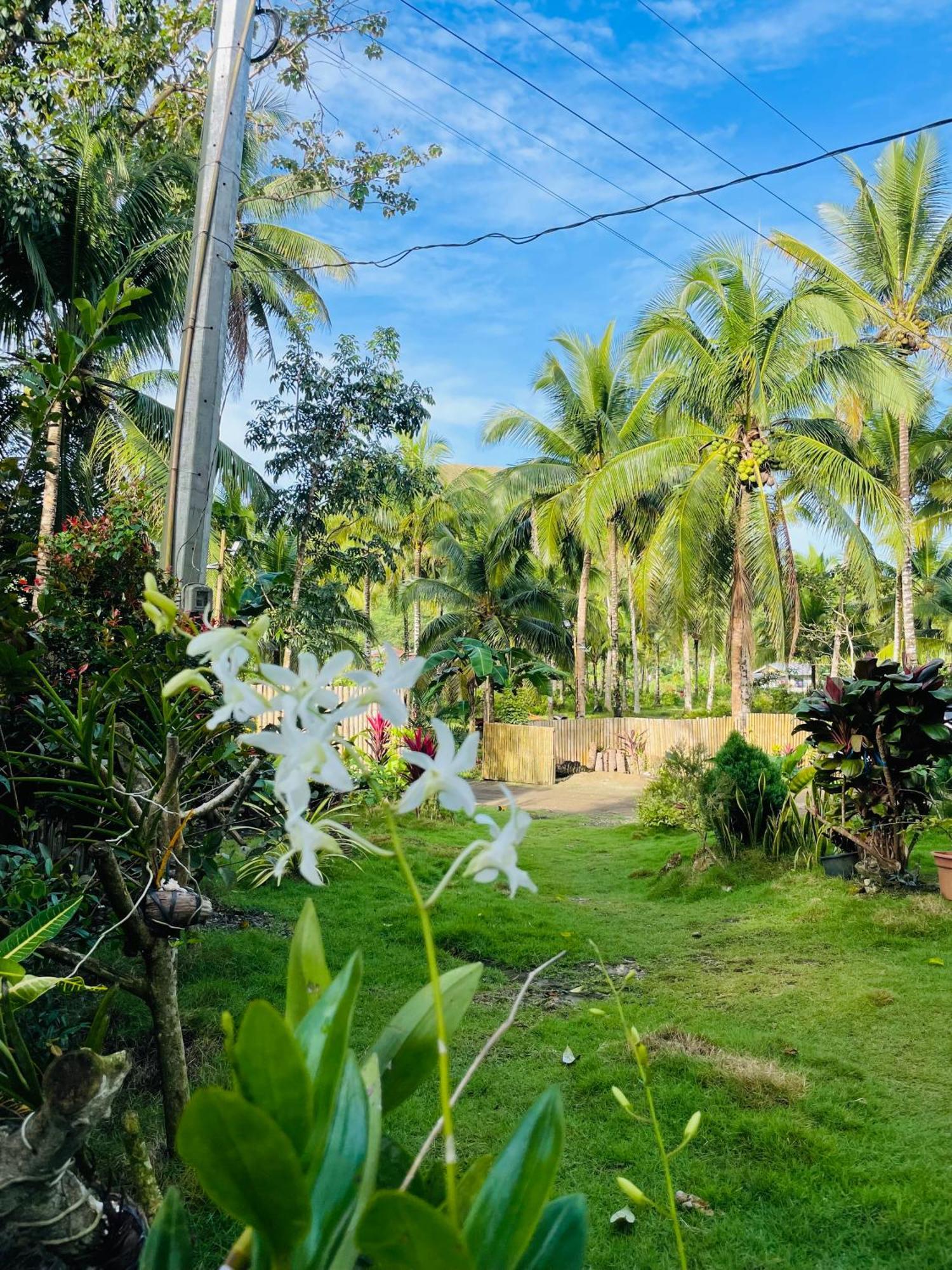 Casa Aguelo Chocolate Hills Bed & Breakfast Carmen  Dış mekan fotoğraf